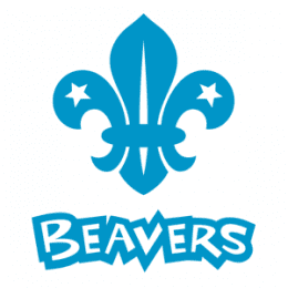 Beavers