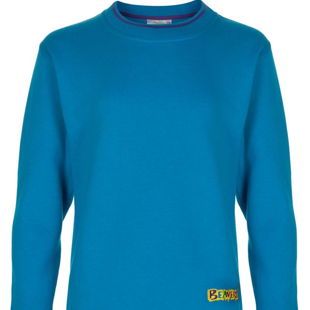 Beaver scout uniform